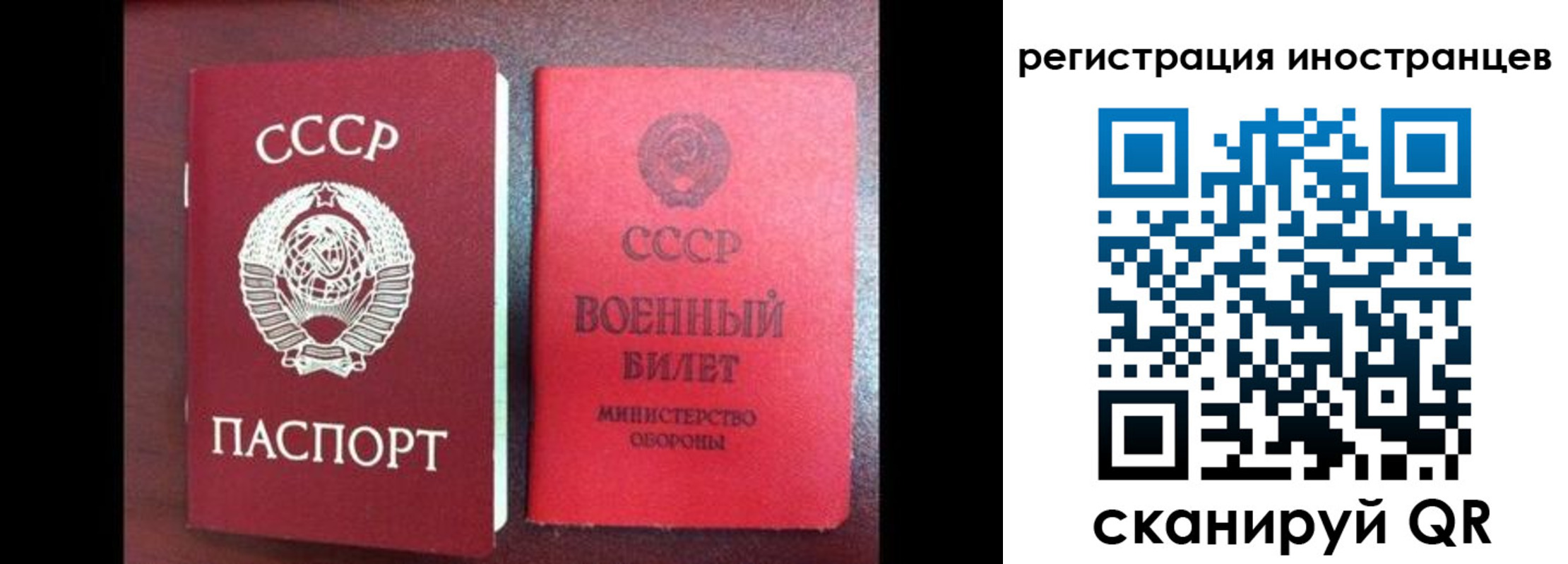 временная регистрация для всех в Полярном